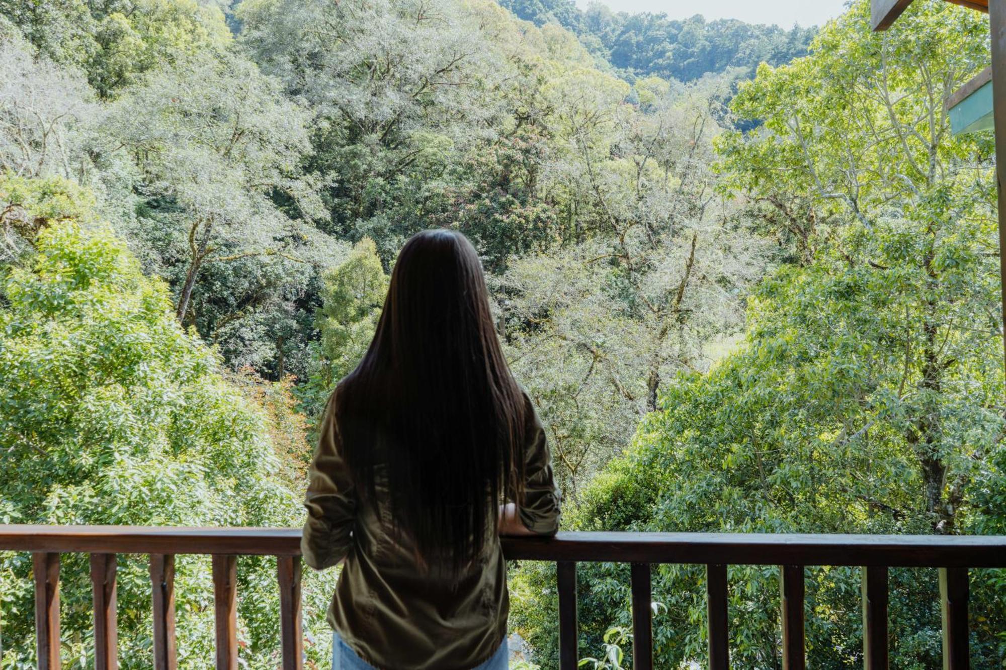 Cabinas El Quetzal San Gerardo de Dota Bagian luar foto